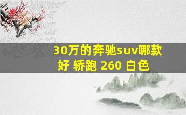 30万的奔驰suv哪款好 轿跑 260 白色